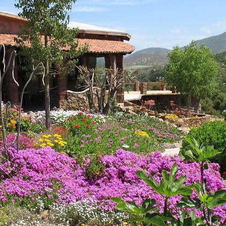 Bed and Breakfast Quinta Maria En La Ruta Del Vino Valle de Guadalupe Exterior foto