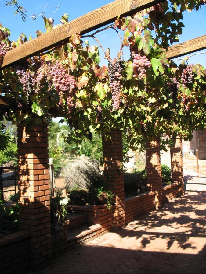 Bed and Breakfast Quinta Maria En La Ruta Del Vino Valle de Guadalupe Exterior foto