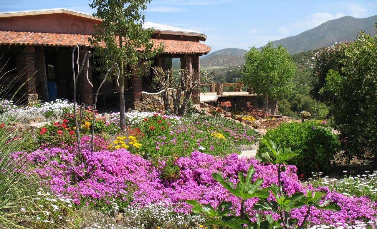 Bed and Breakfast Quinta Maria En La Ruta Del Vino Valle de Guadalupe Exterior foto