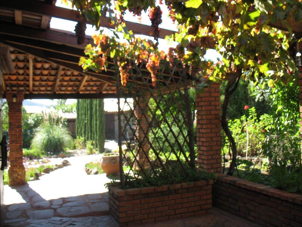 Bed and Breakfast Quinta Maria En La Ruta Del Vino Valle de Guadalupe Exterior foto