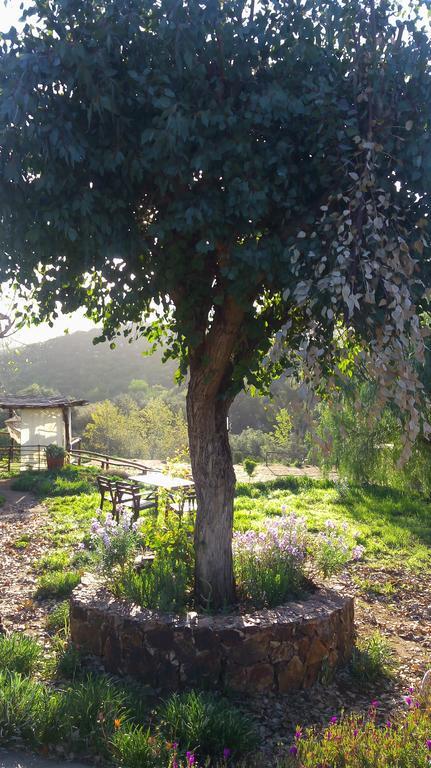 Bed and Breakfast Quinta Maria En La Ruta Del Vino Valle de Guadalupe Exterior foto
